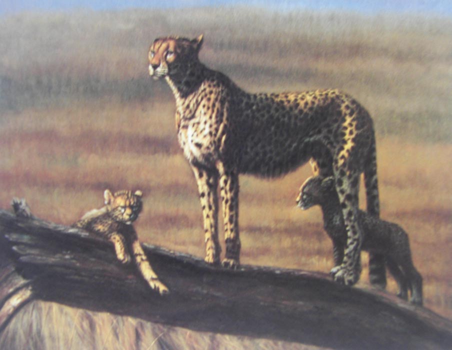 Animal Oil Painting