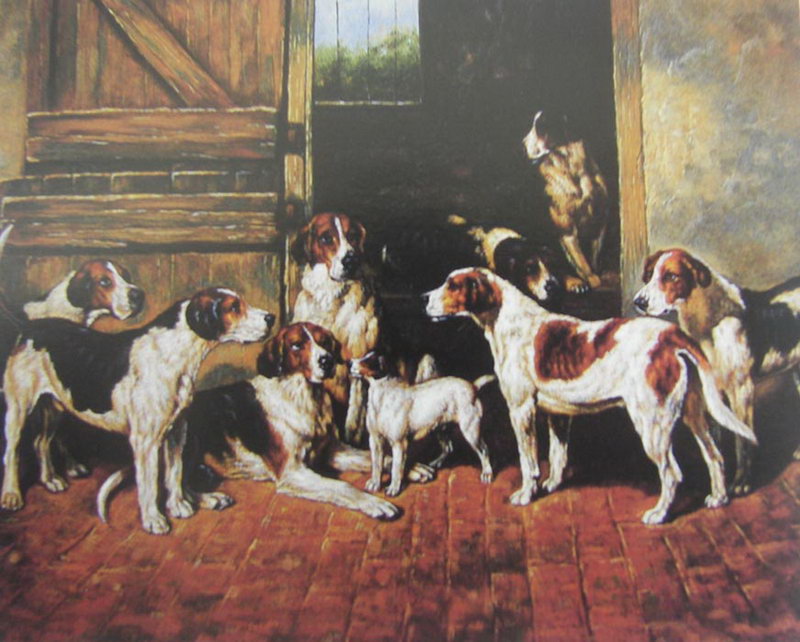 Animal Oil Painting