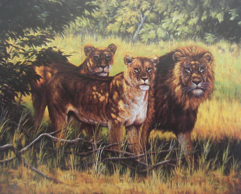 Obibi Animal Oil Painting