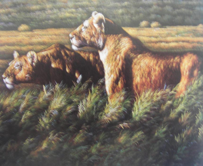 Obibi Animal Oil Painting