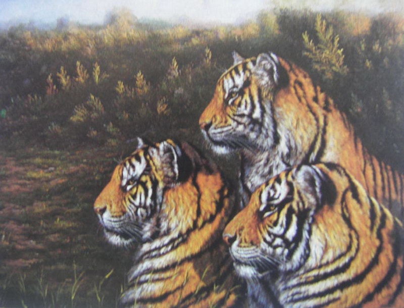 Obibi Animal Oil Painting