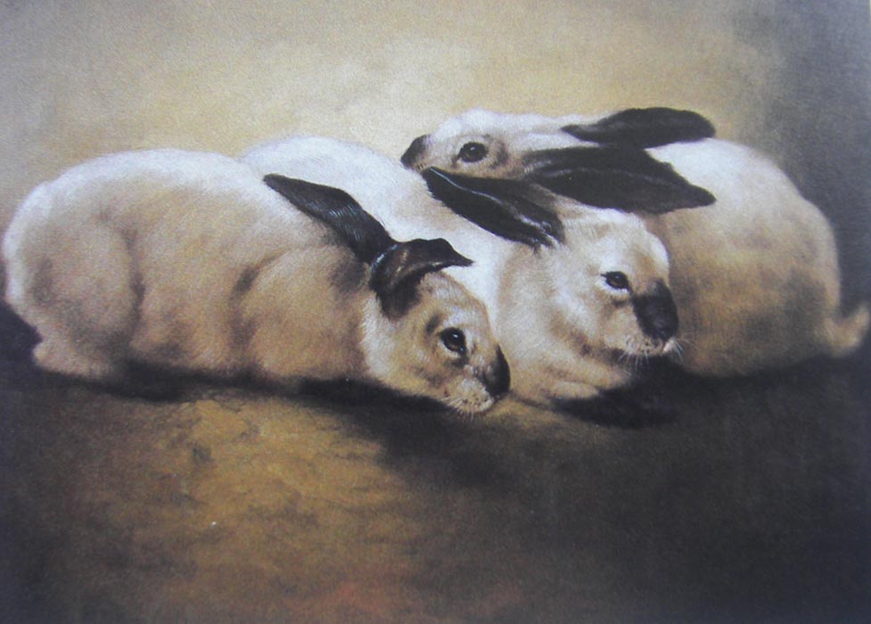 Obibi Animal Oil Painting