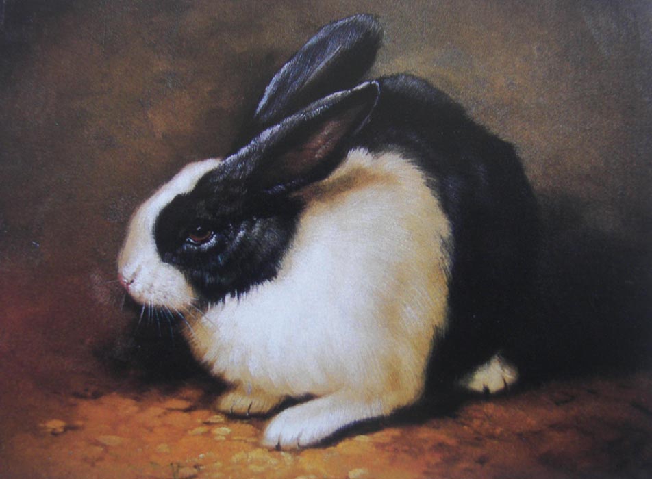 Obibi Animal Oil Painting