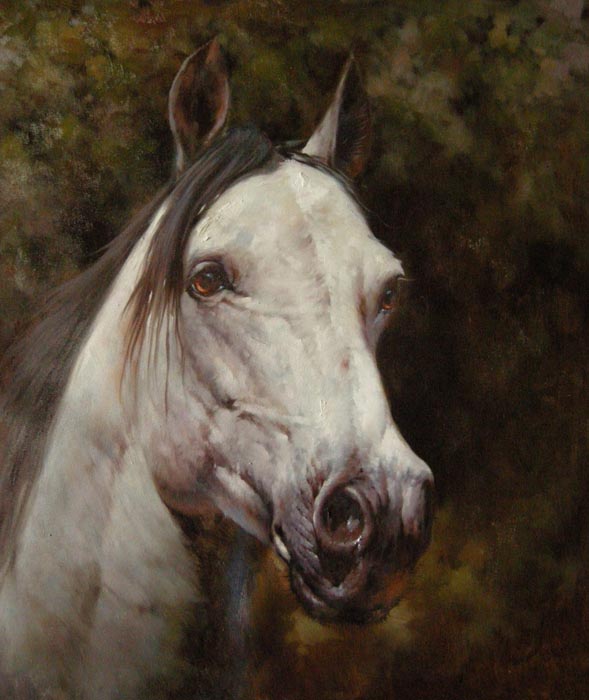 Obibi Horse Oil Painting