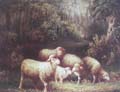 Animal Oil Painting