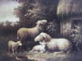 antique oil paintings