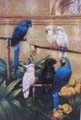 Animal Oil Painting