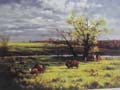 Landscape Oil Painting