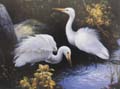 Animal Oil Painting