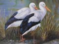 Animal Oil Painting