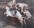 antique oil paintings