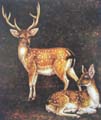 Animal Oil Painting