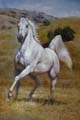 horse oil paintings